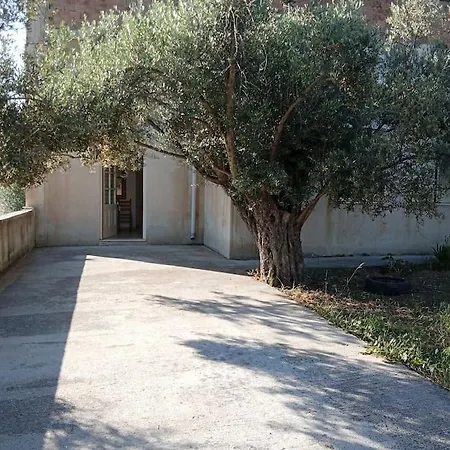 ελαιώνας μαγκράδι Σπίτι διακοπών *