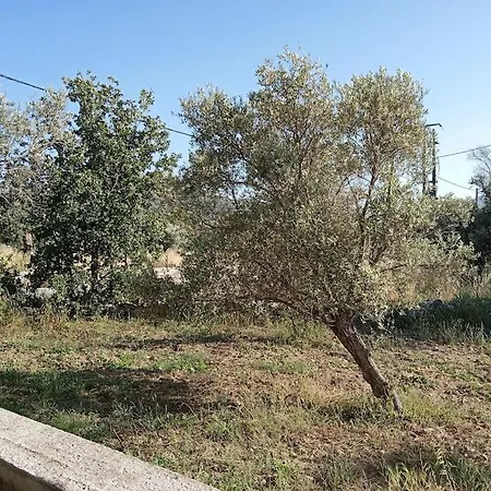 ελαιώνας μαγκράδι Σπίτι διακοπών *