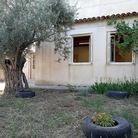 Σπίτι διακοπών ελαιώνας μαγκράδι